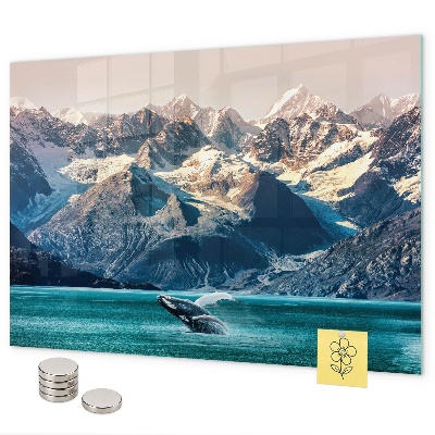 Tableau magnétique mural Eau de baleine