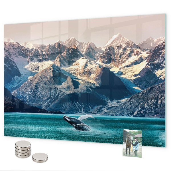 Tableau magnétique mural Eau de baleine