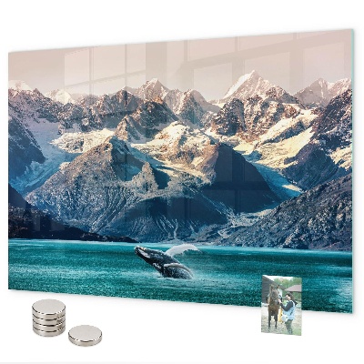 Tableau magnétique mural Eau de baleine