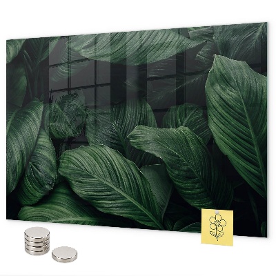 Tableau magnétique mural Monstera tropical