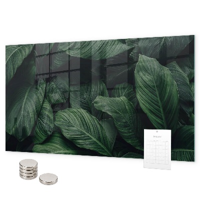 Tableau magnétique mural Monstera tropical