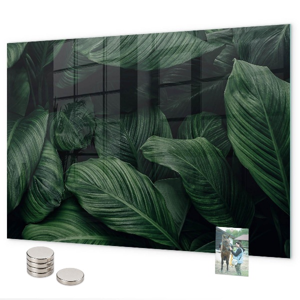 Tableau magnétique mural Monstera tropical