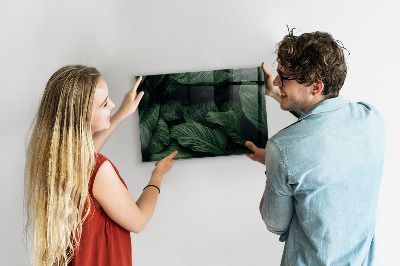 Tableau magnétique mural Monstera tropical