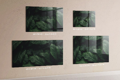 Tableau magnétique mural Monstera tropical