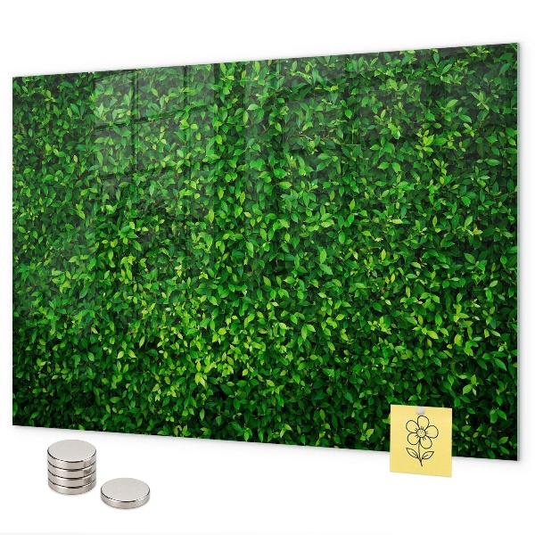 Tableau magnétique feuilles de haie
