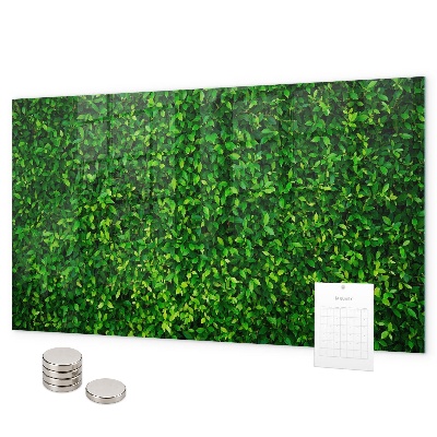 Tableau magnétique feuilles de haie