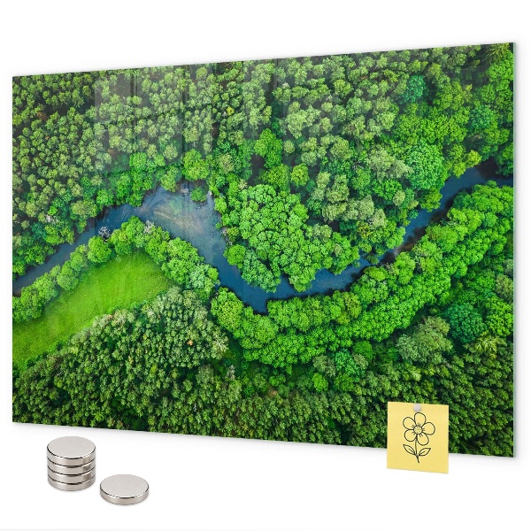 Tableau magnétique mural Rivière dans la forêt