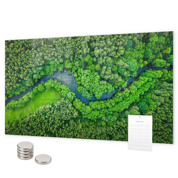 Tableau magnétique mural Rivière dans la forêt