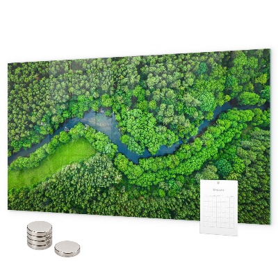 Tableau magnétique mural Rivière dans la forêt