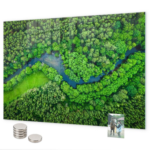 Tableau magnétique mural Rivière dans la forêt