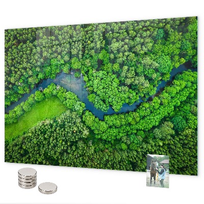 Tableau magnétique mural Rivière dans la forêt