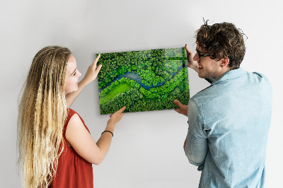Tableau magnétique mural Rivière dans la forêt
