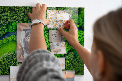 Tableau magnétique mural Rivière dans la forêt