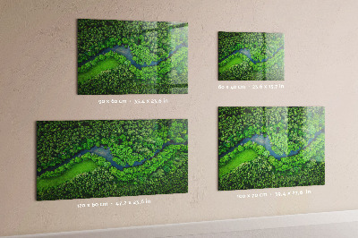 Tableau magnétique mural Rivière dans la forêt