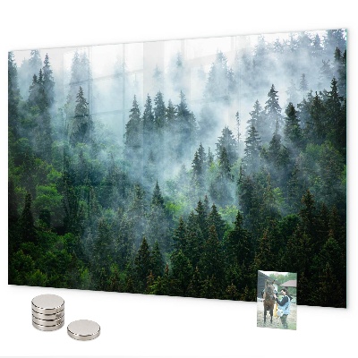 Tableau magnétique Forêt brumeuse