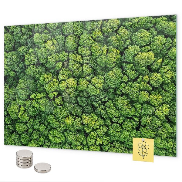 Tableau magnétique mural La forêt vue du ciel