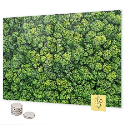Tableau magnétique mural La forêt vue du ciel