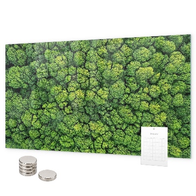 Tableau magnétique mural La forêt vue du ciel