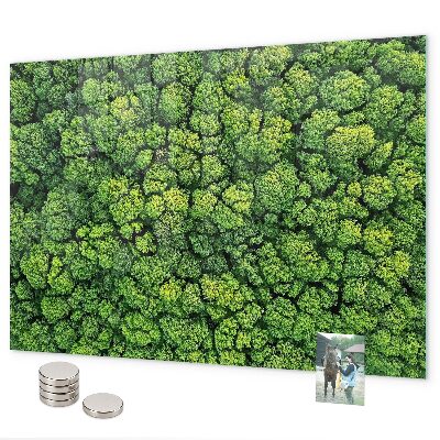 Tableau magnétique mural La forêt vue du ciel