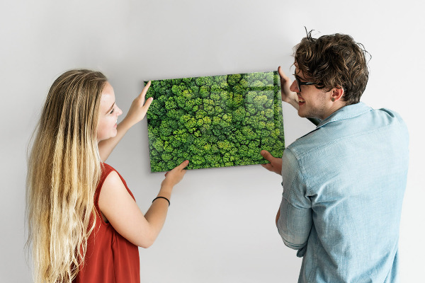Tableau magnétique mural La forêt vue du ciel