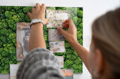 Tableau magnétique mural La forêt vue du ciel