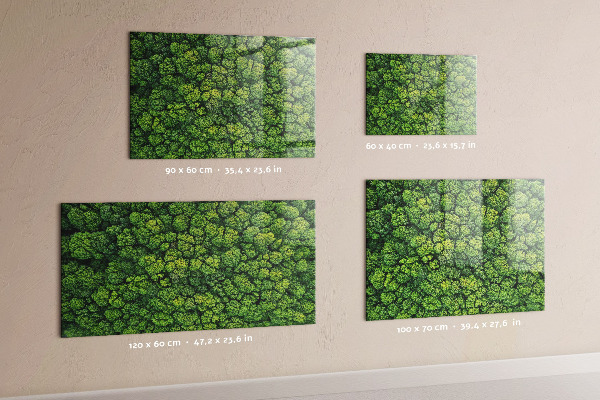 Tableau magnétique mural La forêt vue du ciel