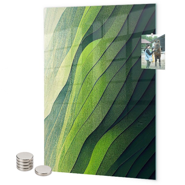 Tableau aimanté Des lueurs vertes de la nature