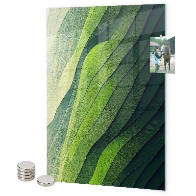 Tableau aimanté Des lueurs vertes de la nature