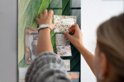 Tableau aimanté Des lueurs vertes de la nature