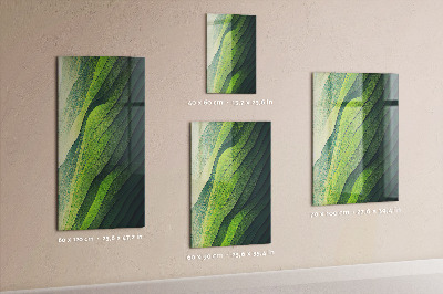 Tableau aimanté Des lueurs vertes de la nature