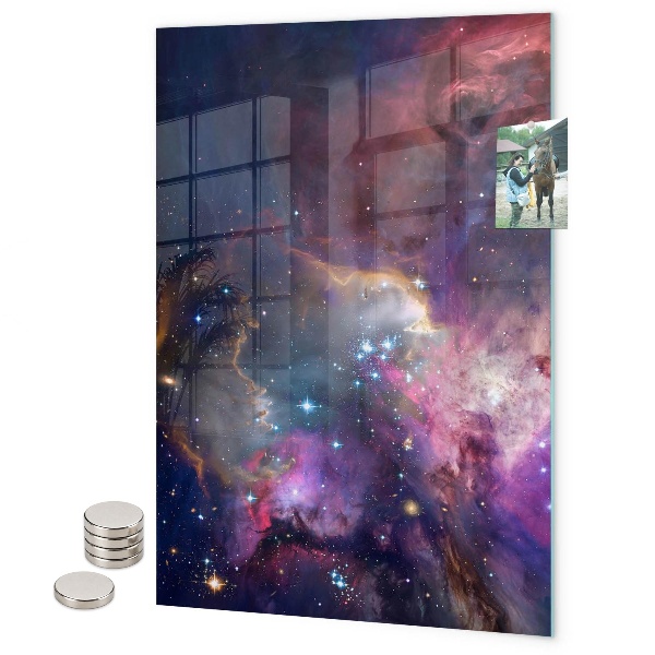 Tableau magnétique décoratif troncs d'arbres