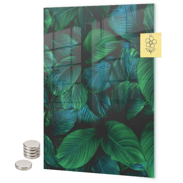 Tableau aimanté Grandes feuilles vertes