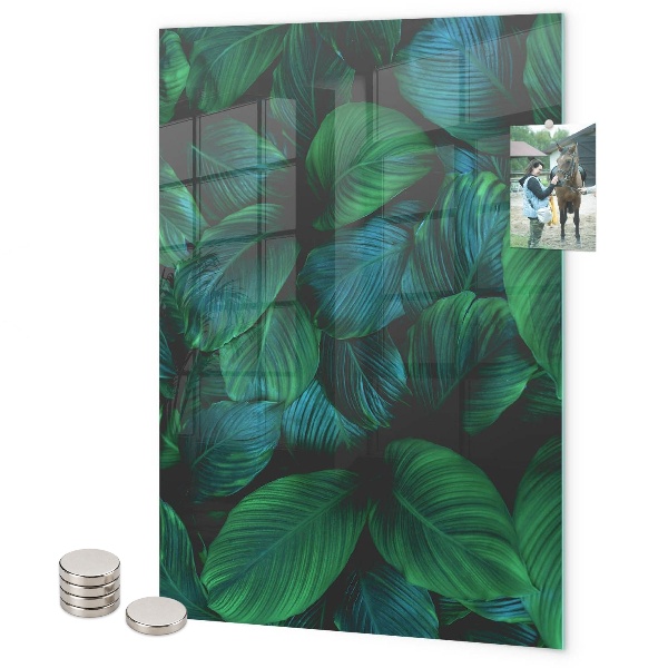 Tableau aimanté Grandes feuilles vertes