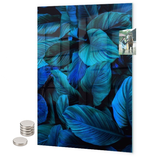 Tableau aimanté Grandes feuilles vertes