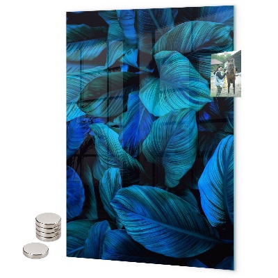 Tableau aimanté Grandes feuilles vertes