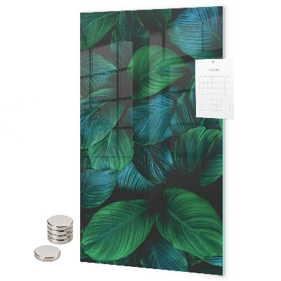 Tableau aimanté Grandes feuilles vertes