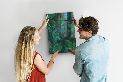 Tableau aimanté Grandes feuilles vertes