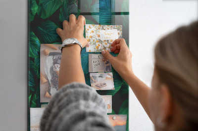 Tableau aimanté Grandes feuilles vertes