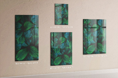 Tableau aimanté Grandes feuilles vertes