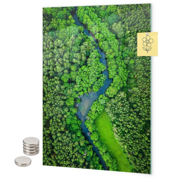 Tableau aimanté Forêt d'arbres rivière
