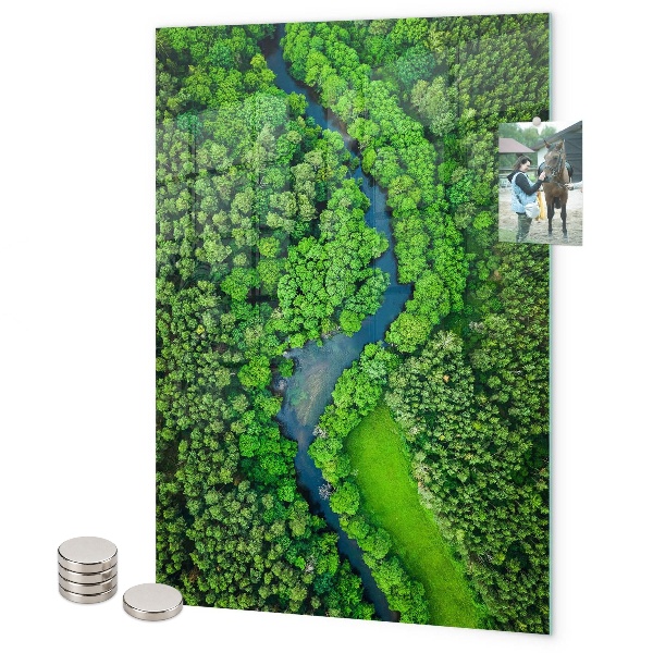 Tableau aimanté Forêt d'arbres rivière