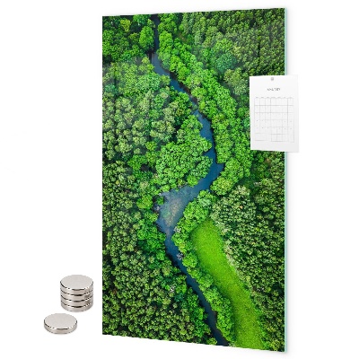 Tableau aimanté Forêt d'arbres rivière