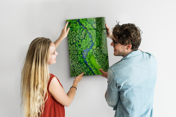 Tableau aimanté Forêt d'arbres rivière