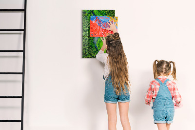 Tableau aimanté Forêt d'arbres rivière