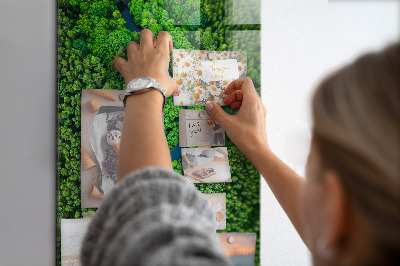 Tableau aimanté Forêt d'arbres rivière