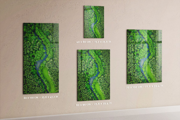 Tableau aimanté Forêt d'arbres rivière