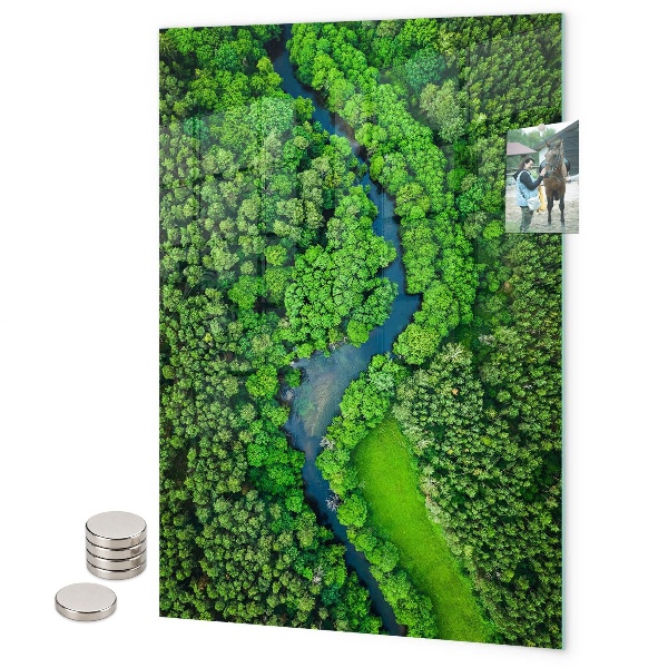 Tableau magnétique décoratif feuilles tropicales