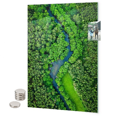 Tableau magnétique décoratif feuilles tropicales