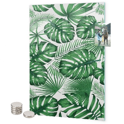 Tableau magnétique décoratif feuilles de monstera tropicales