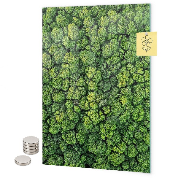Tableau aimanté arbres nature forêt